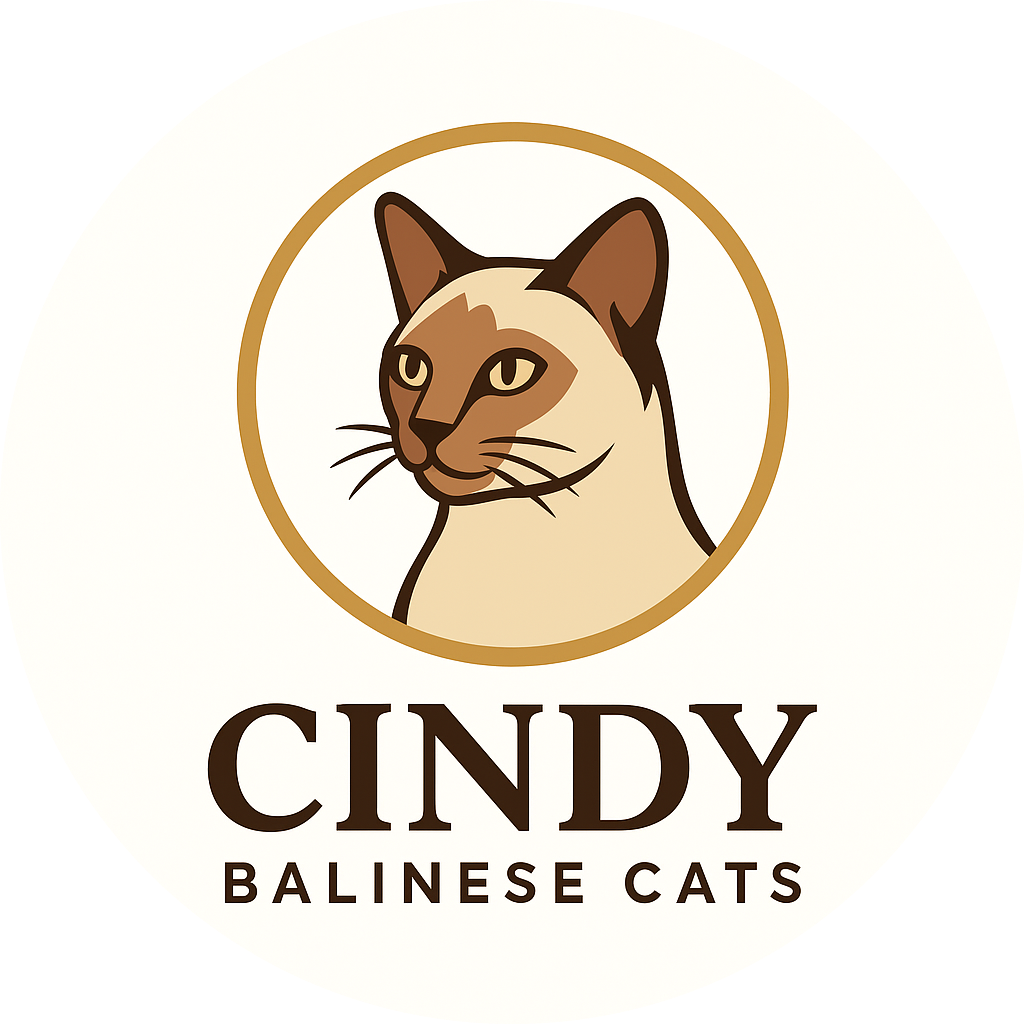 CINDY Logo